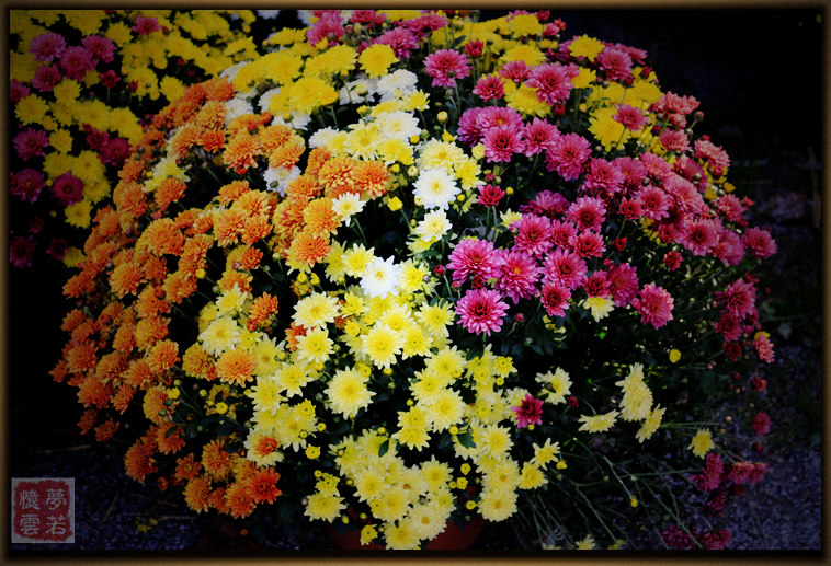 20140928 176_.jpg