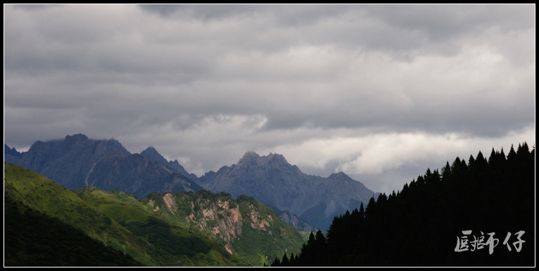 DSC_1795.jpg
