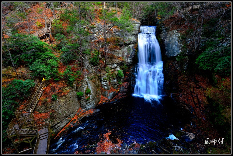 DSC_7529.jpg