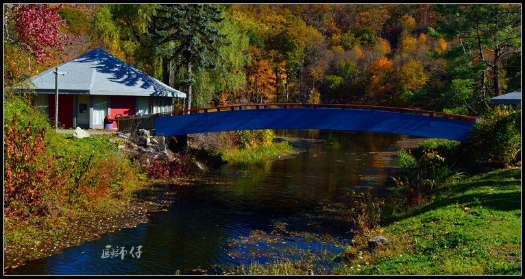 DSC_0629.jpg