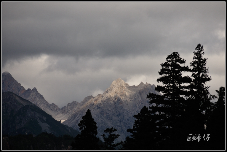 DSC_1791.jpg