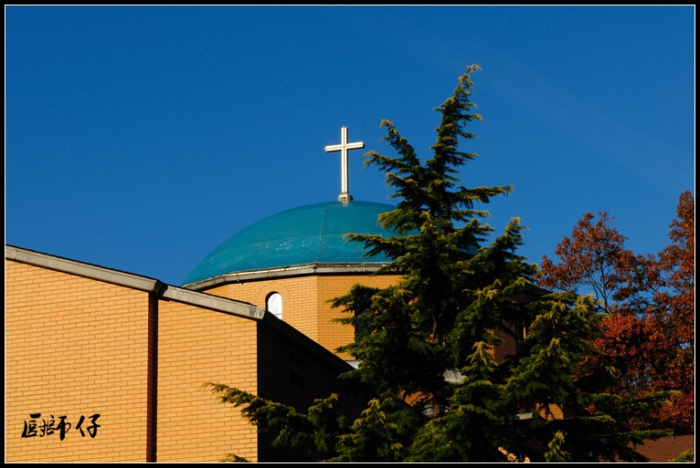 DSC_7414.jpg