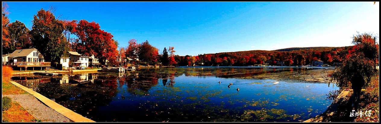 DSCN1383.jpg