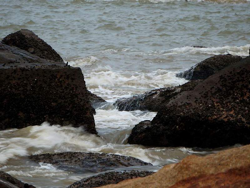 DSCF6976.jpg