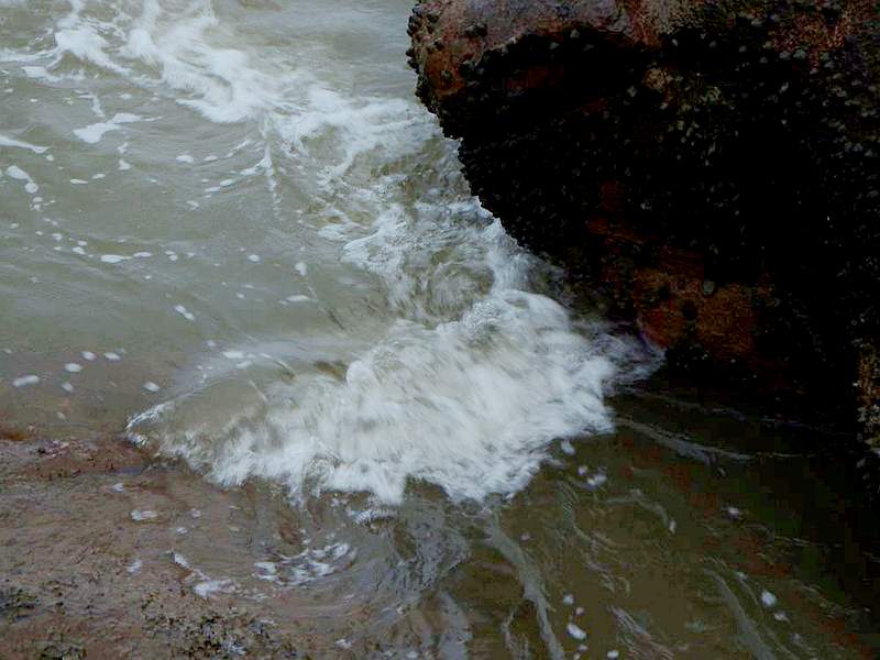 DSCF6953.jpg