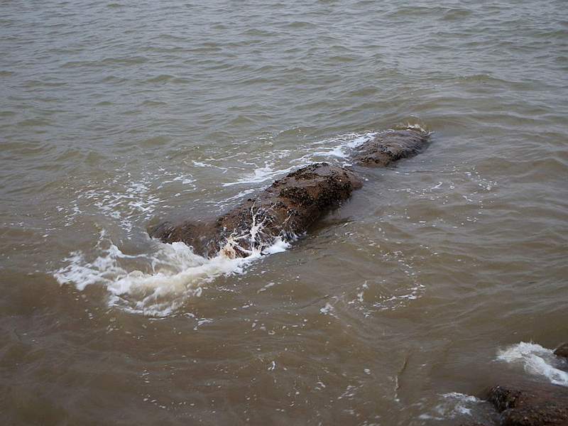 DSCF6966.jpg