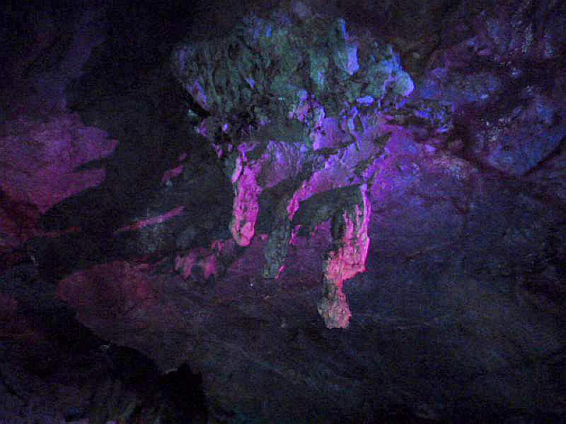 P1100018.jpg