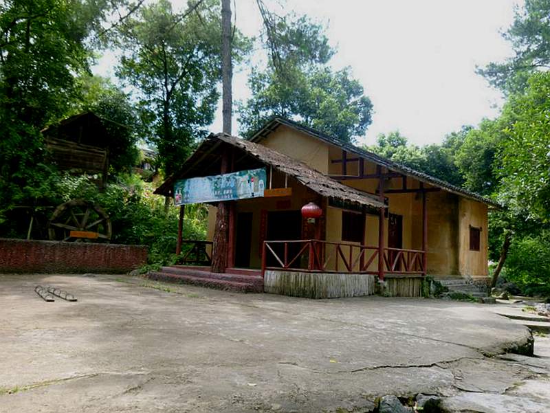 P1100206.jpg