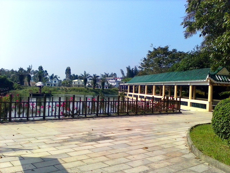 IMG_20140922_092243323.jpg