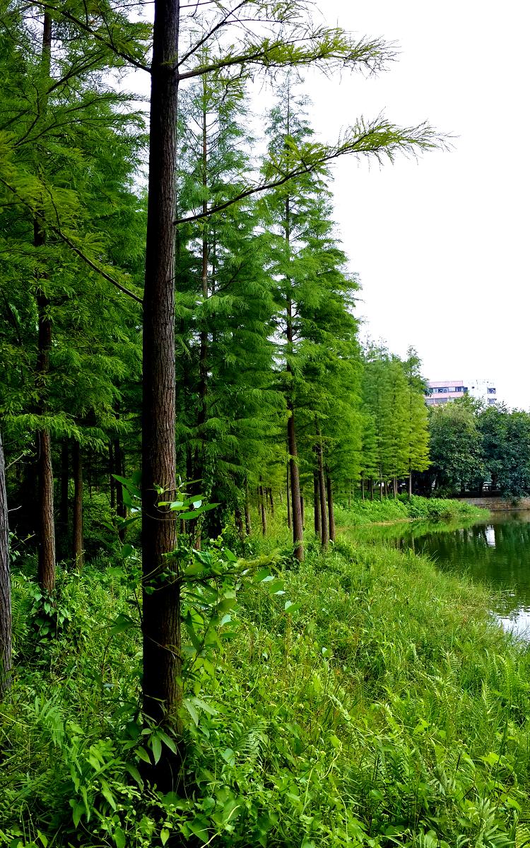 20141026_144126.jpg