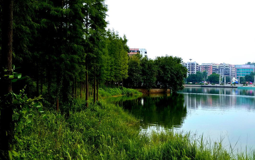 20141026_144019.jpg