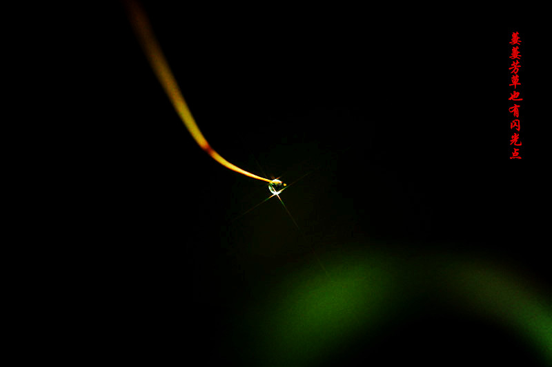_MG_97182014--8-8-1_.jpg