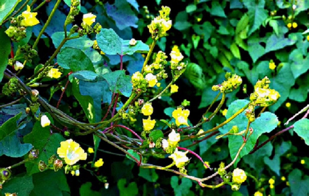 20141015_151018.jpg
