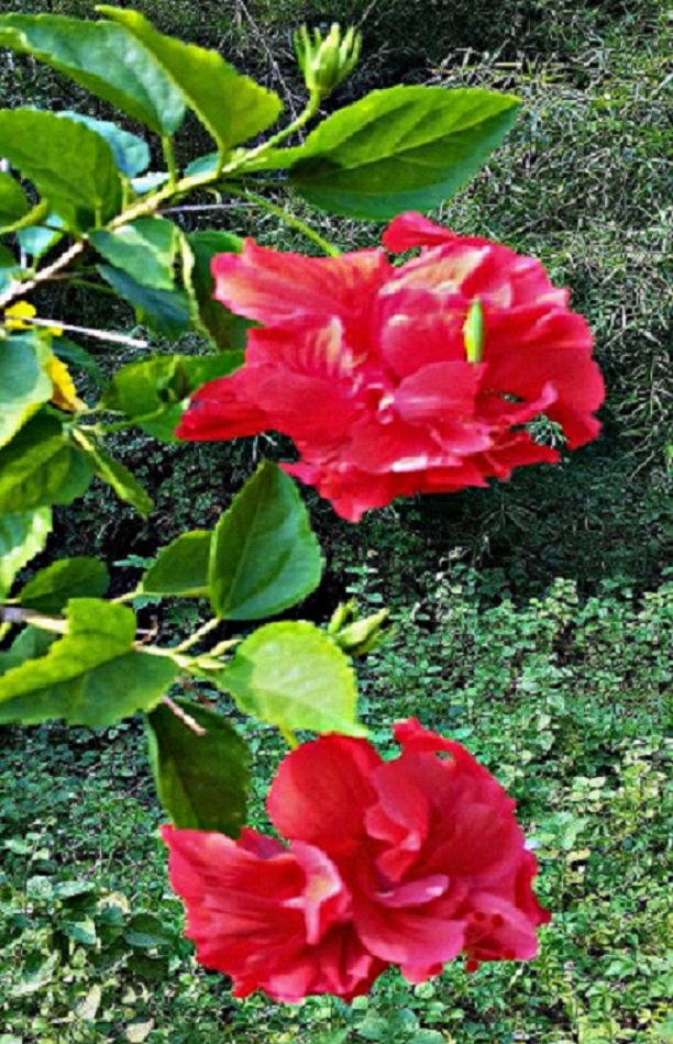 20141015_145620.jpg
