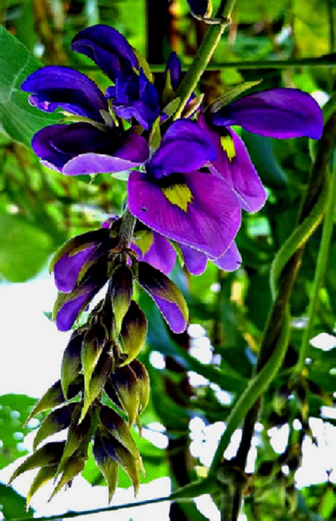 20141015_152630.jpg