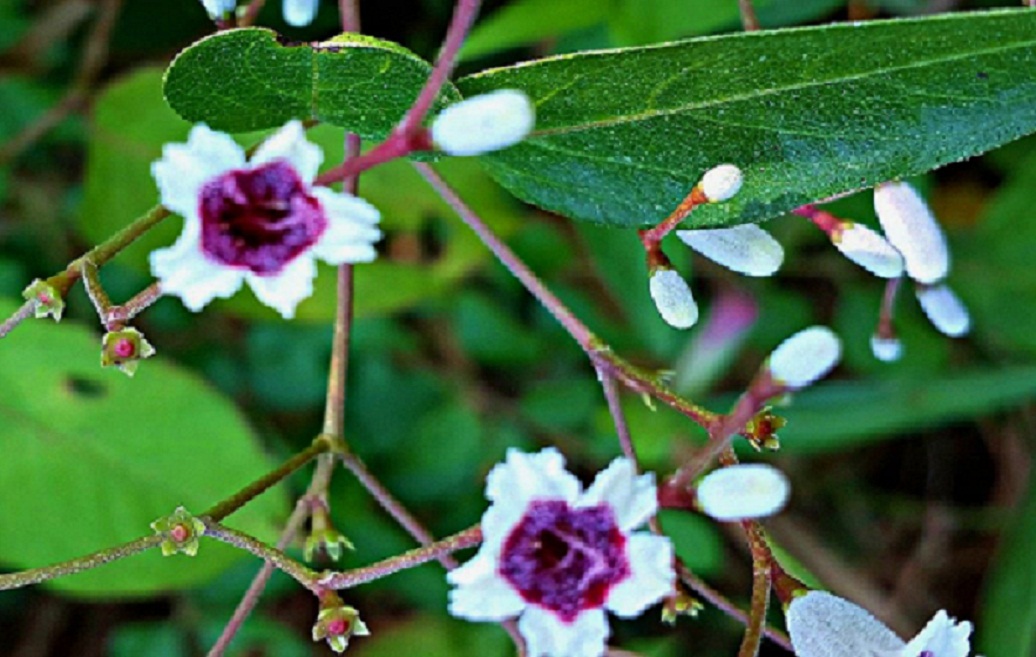20141015_143649.jpg