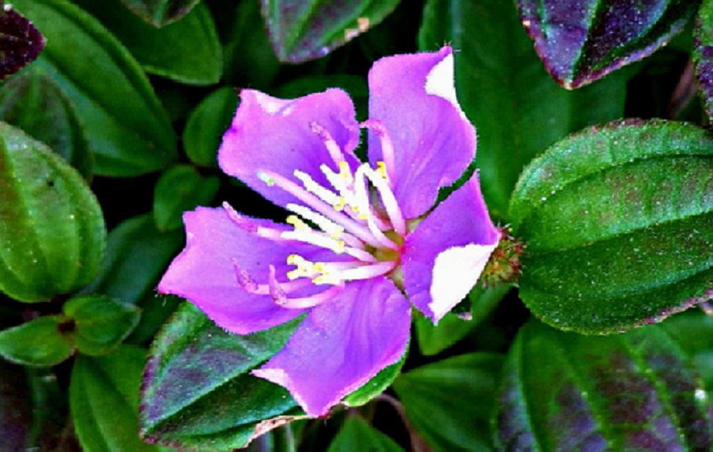 20141015_150425.jpg
