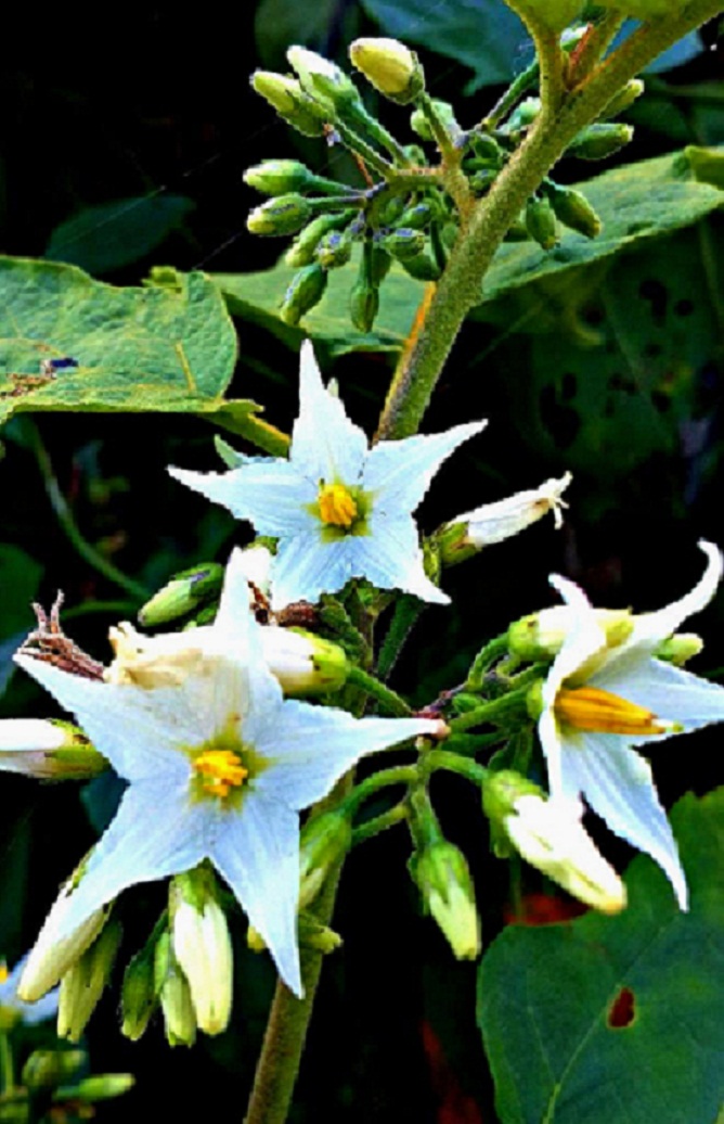 20141015_144202.jpg