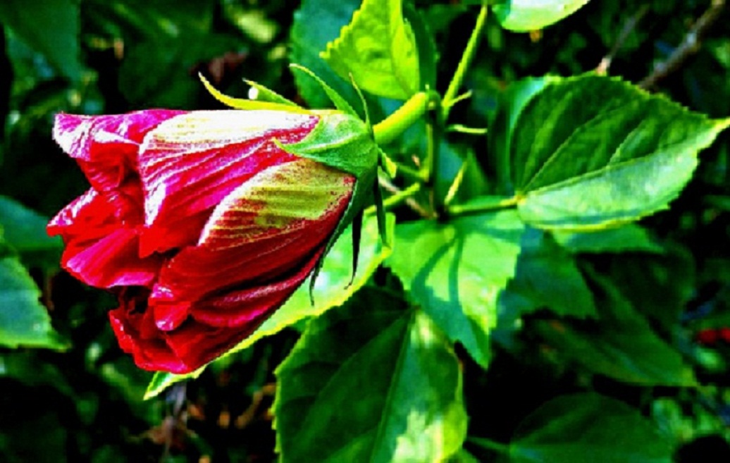 20141015_145713.jpg