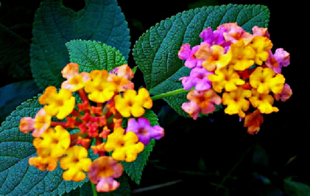 20141015_143852.jpg