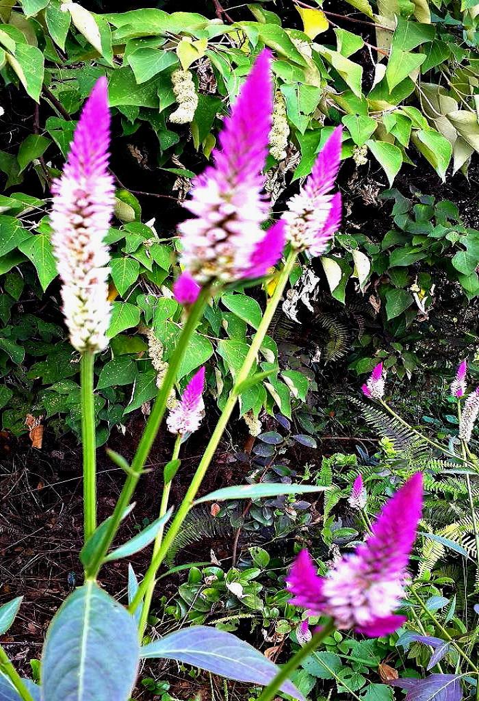 20141015_151257.jpg
