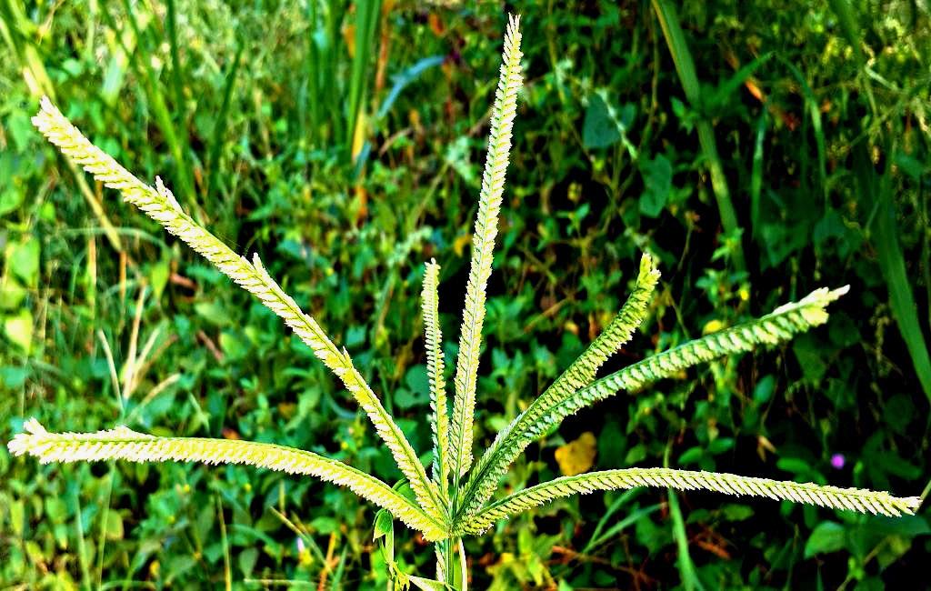 20141015_151929.jpg