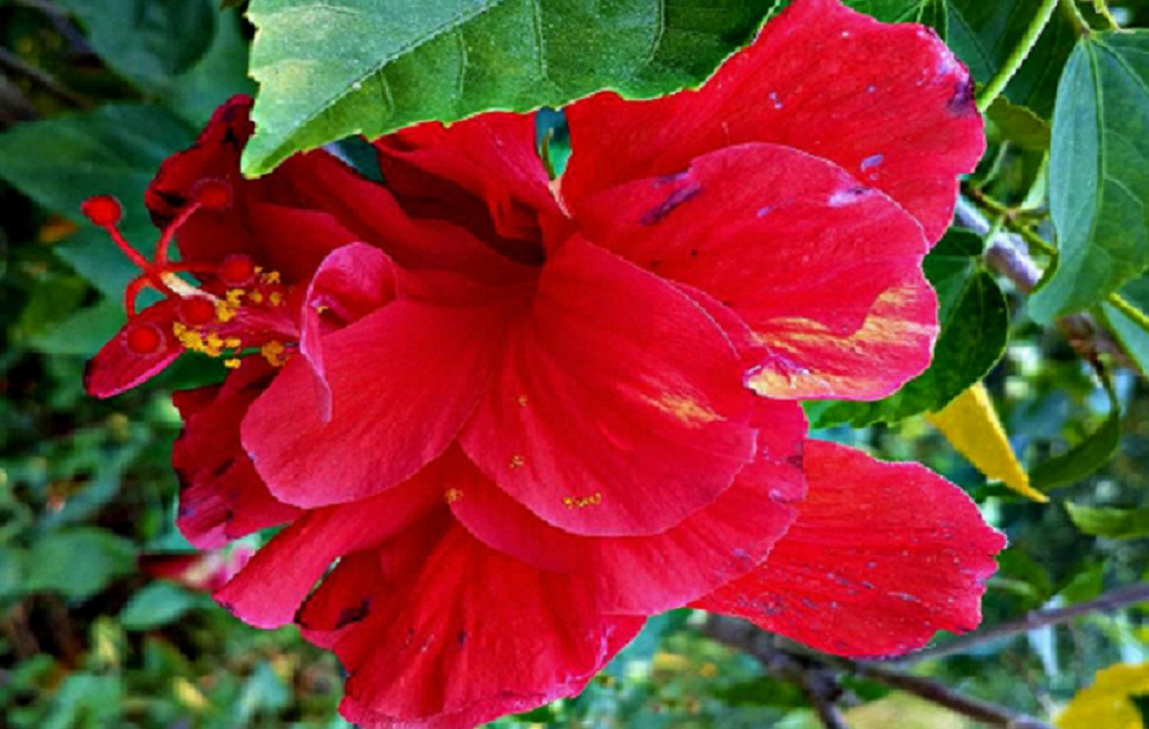 20141015_145448.jpg