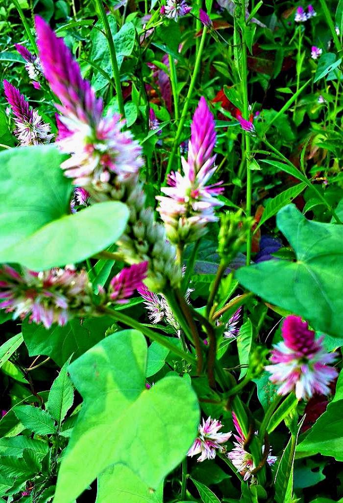 20141015_153509.jpg