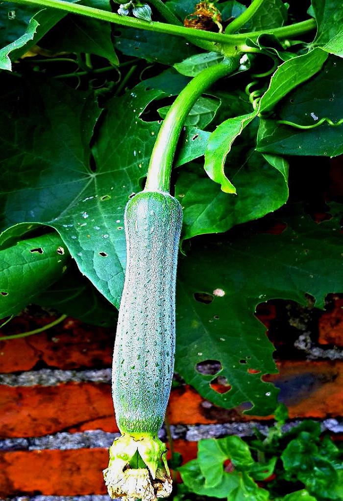 20141015_153519.jpg
