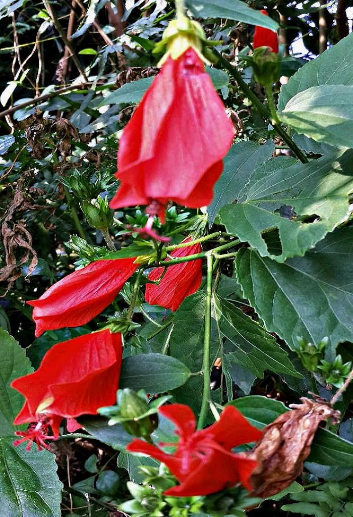 20141015_153306.jpg