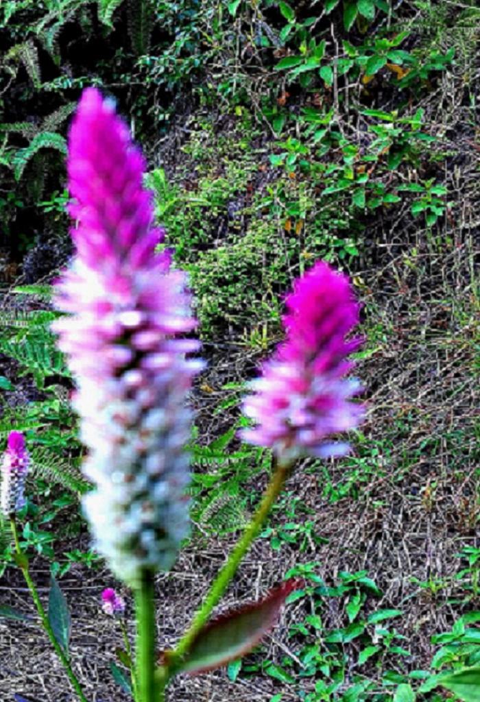 20141015_151246.jpg