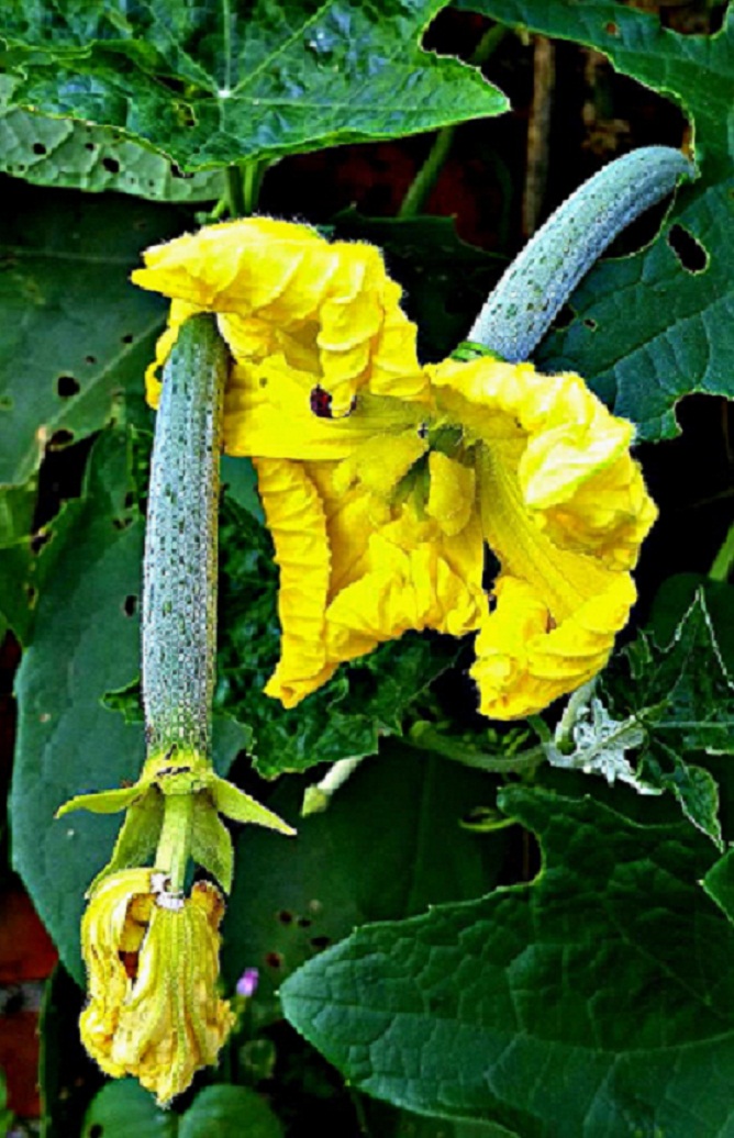 20141015_153536.jpg