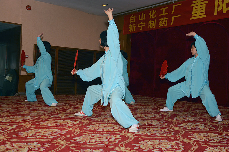 DSC_9133_1.JPG