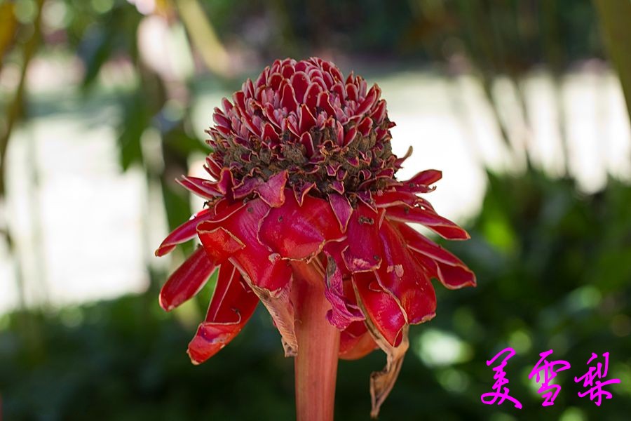 DSC_0242_conew1.jpg