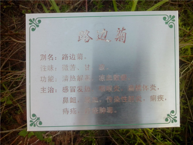 IMG_20140929_170943.jpg