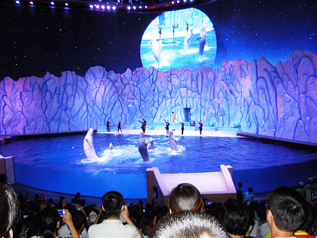 DSCN0765.jpg