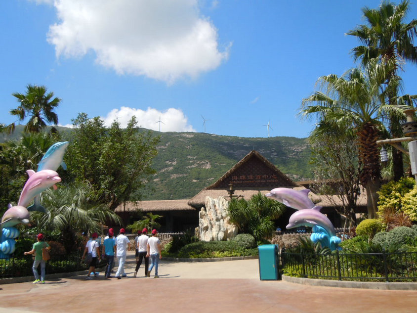 DSCN0722.jpg