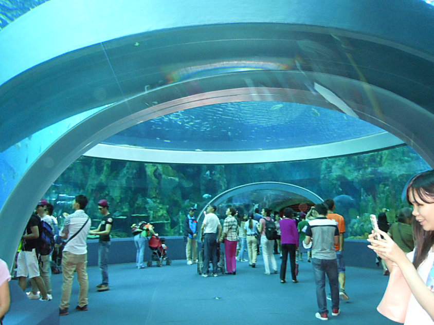 DSCN0671.jpg