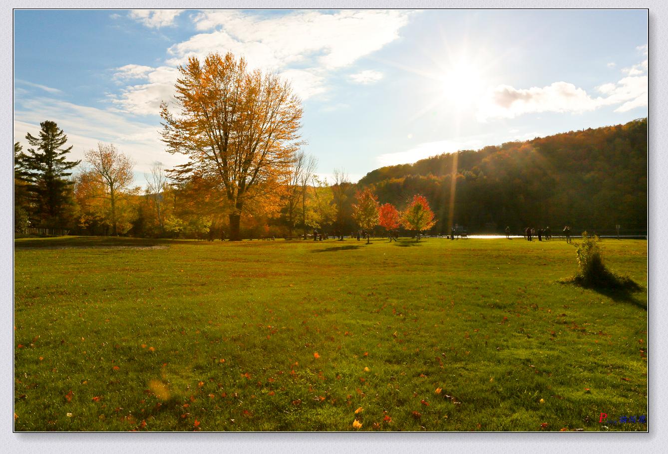 10-11-2014�ﾰ-4 105-2.jpg