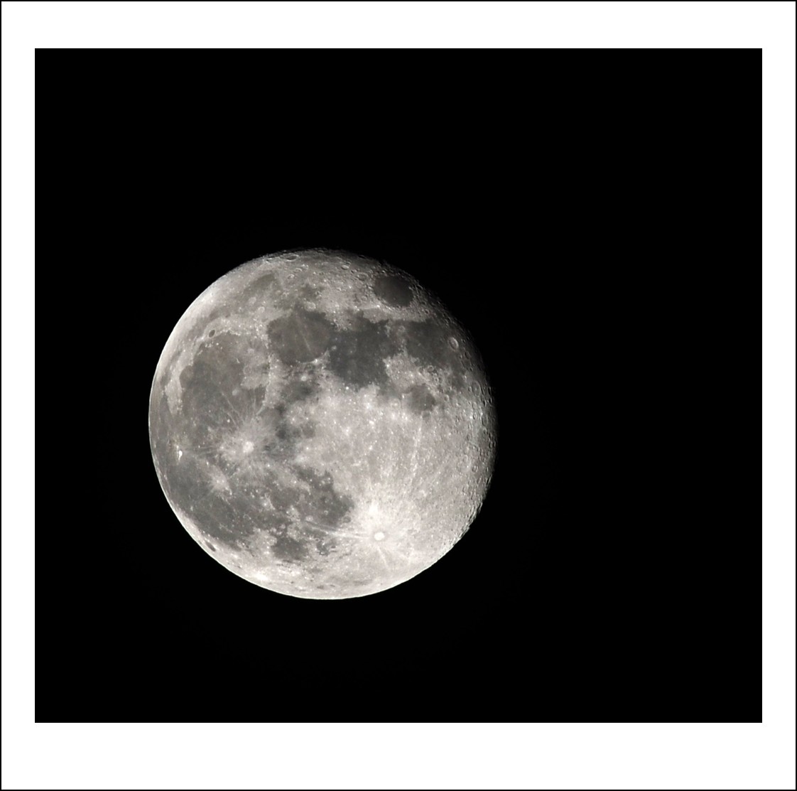 DSC_6354_conew1.jpg