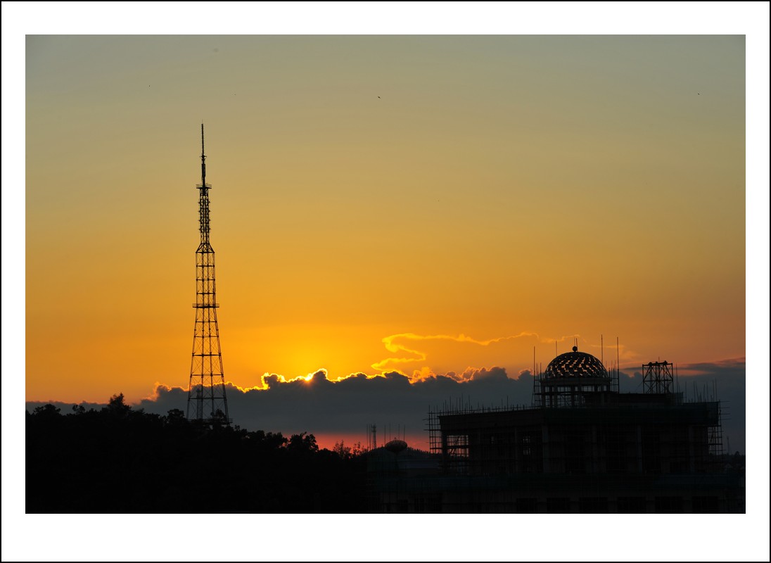 DSC_7795_conew1.jpg