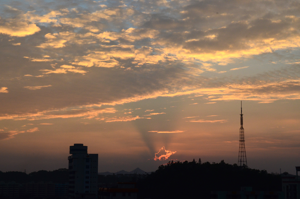 DSC_9295.JPG