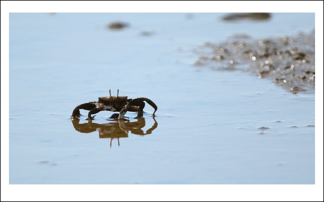 DSC_6375_conew1.jpg