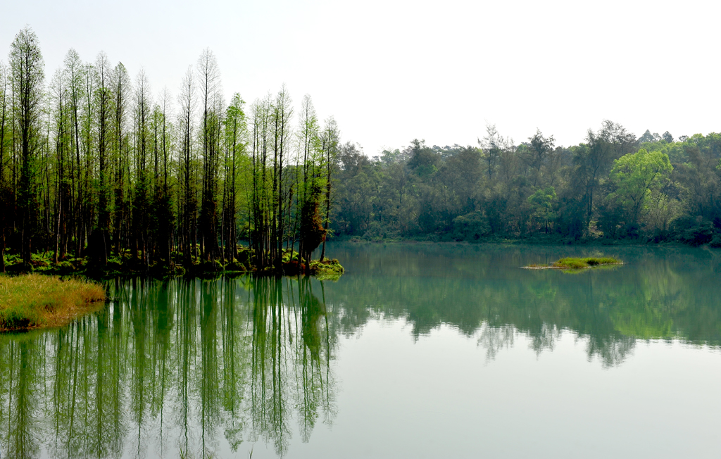 DSC_1261.jpg