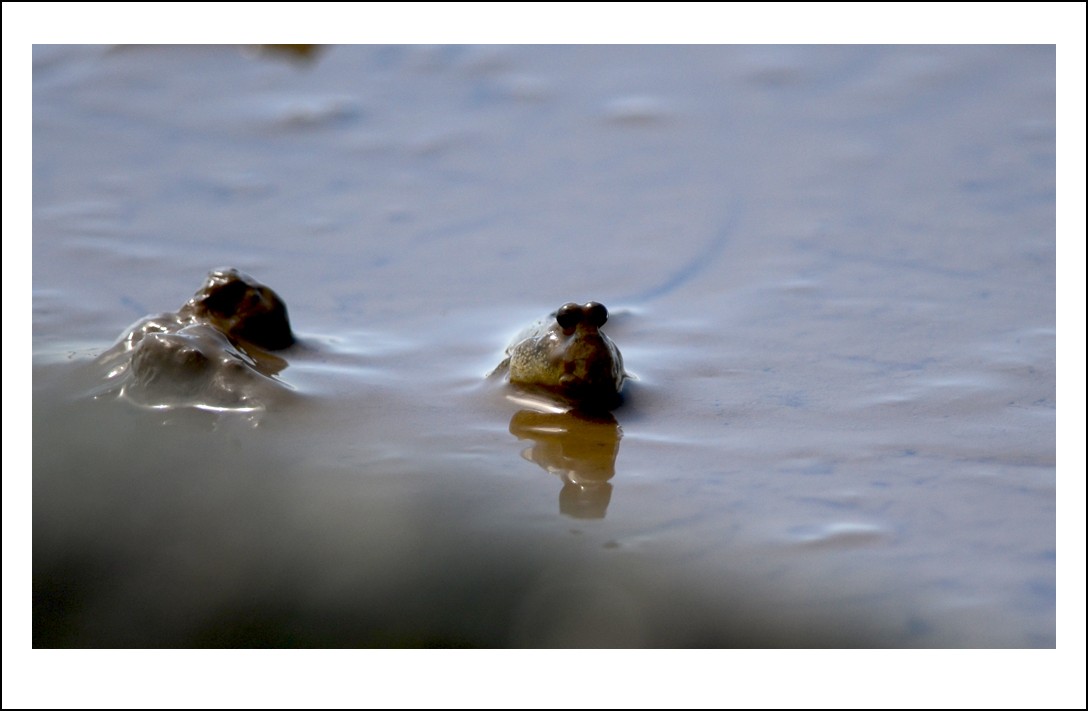 DSC_6377_conew1.jpg