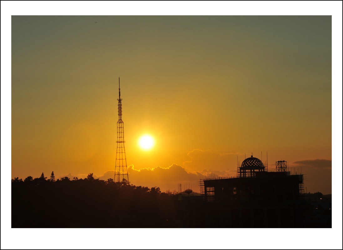 DSC_7768_conew1.jpg