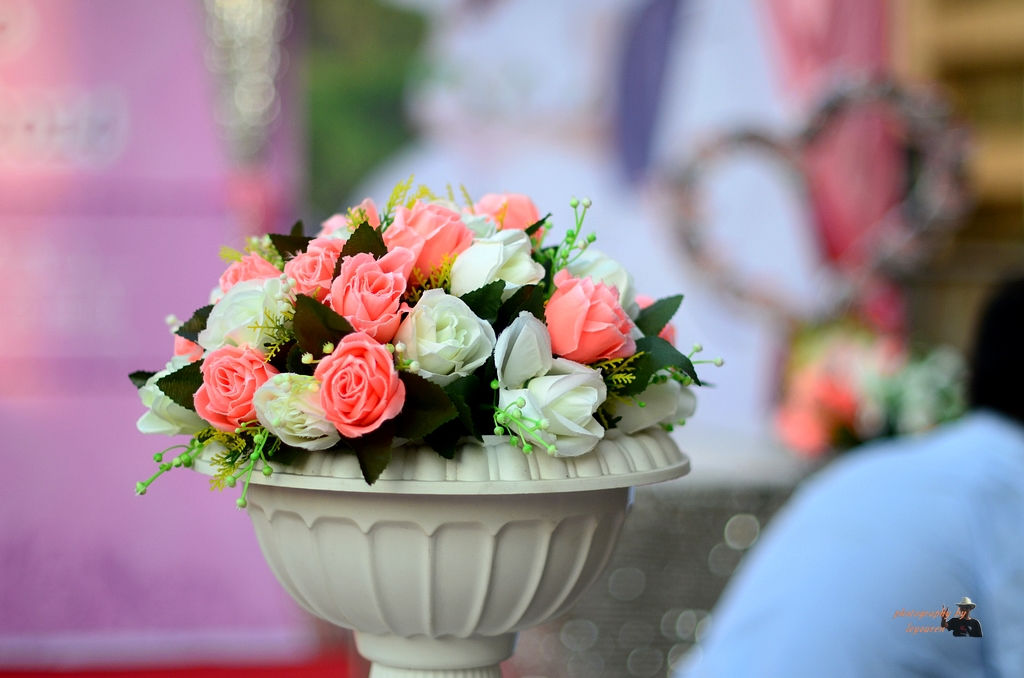 DSC_4590.jpg