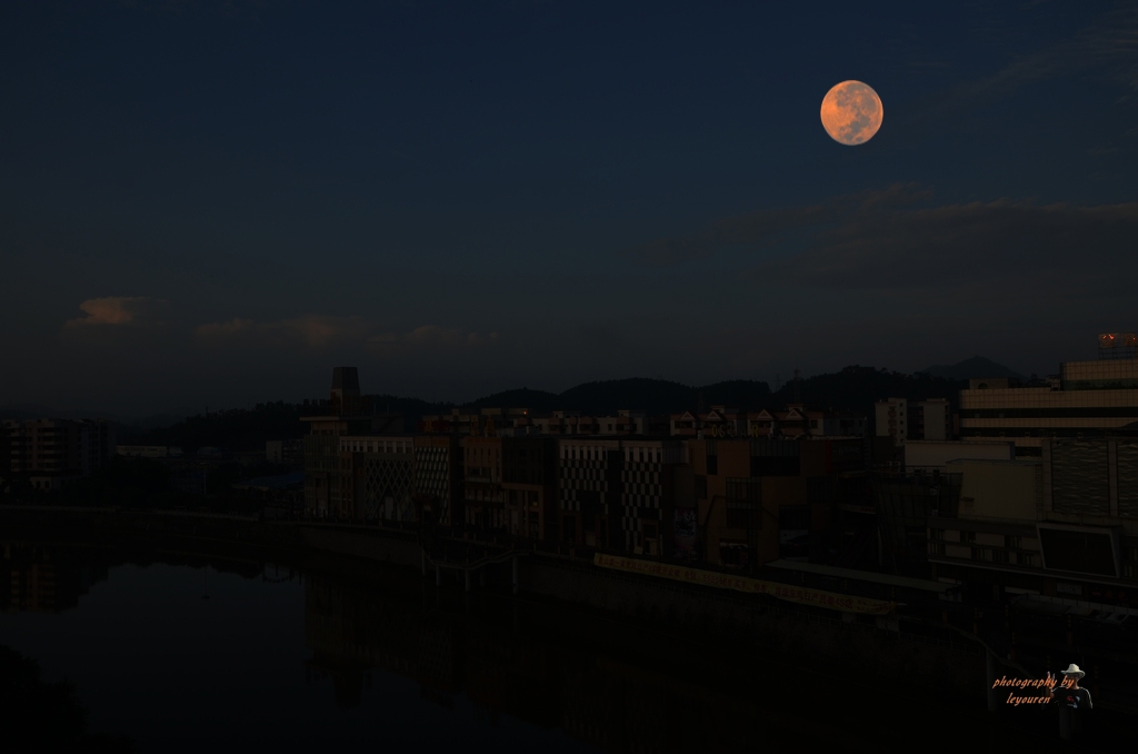 DSC_3324.jpg