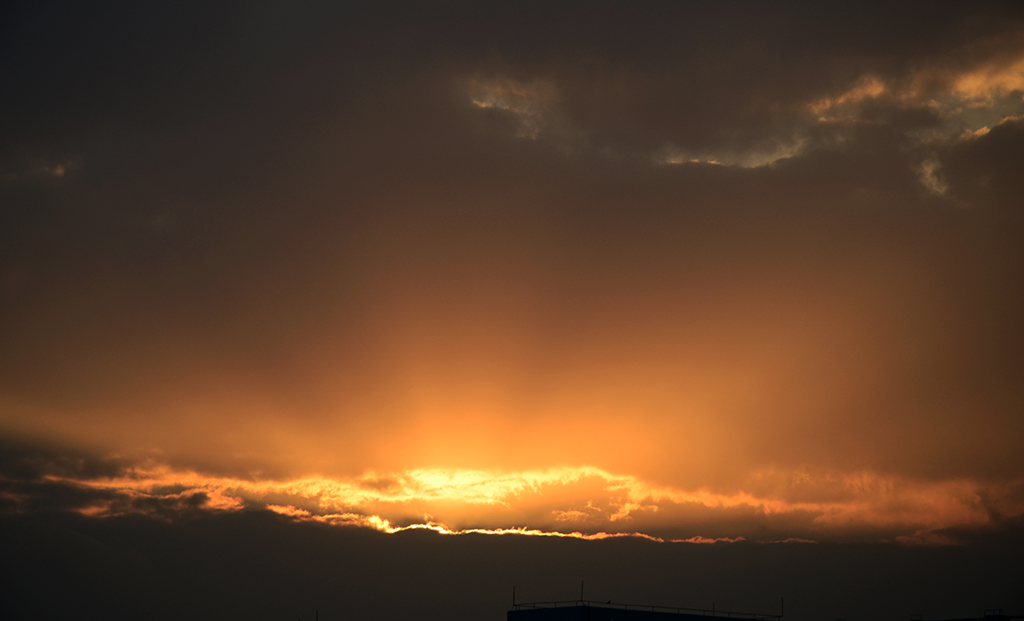 DSC_6005.JPG