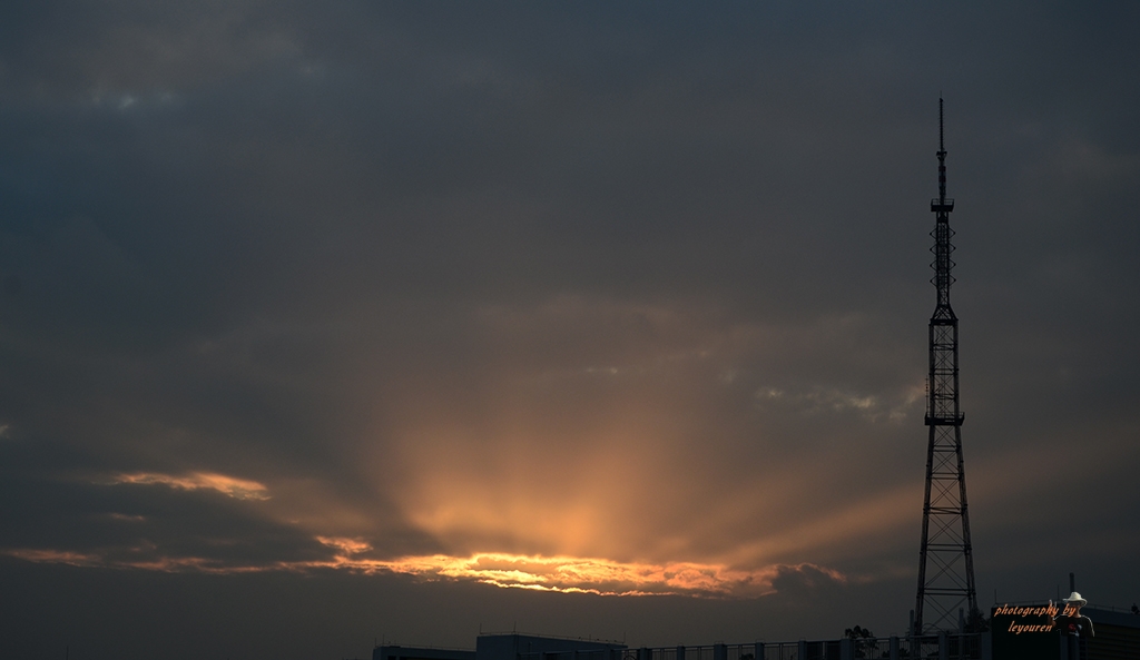 DSC_6002.JPG